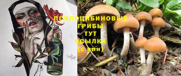 бутират Богородск