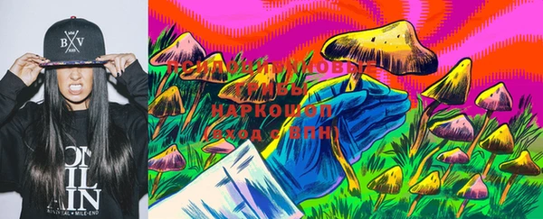 spice Богородицк