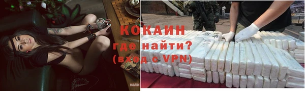 spice Богородицк