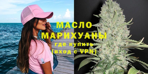 spice Богородицк