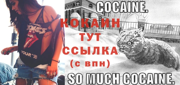 spice Богородицк