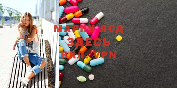 spice Богородицк