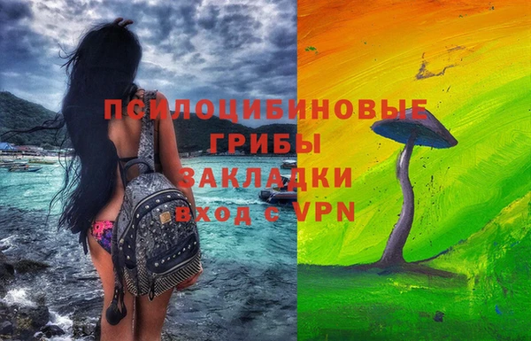 spice Богородицк