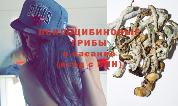 spice Богородицк