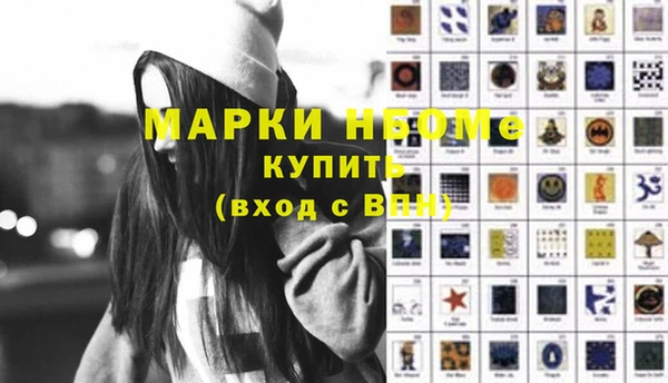 spice Богородицк