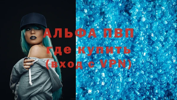 spice Богородицк