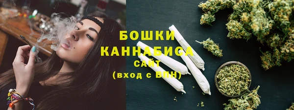 spice Богородицк
