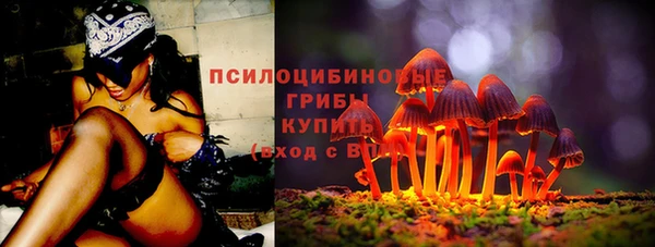 spice Богородицк