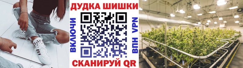 Шишки марихуана MAZAR  где купить   hydra   Нюрба 